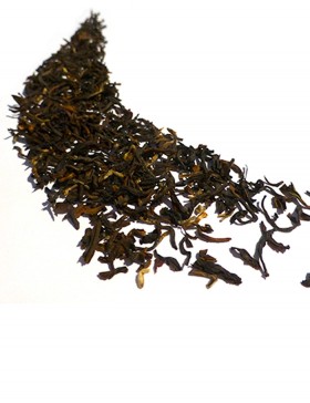 Thé noir Darjeeling